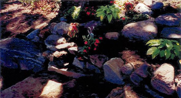 landscape018.jpg