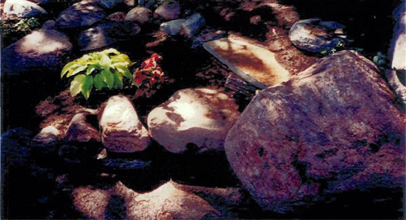 landscape026.jpg
