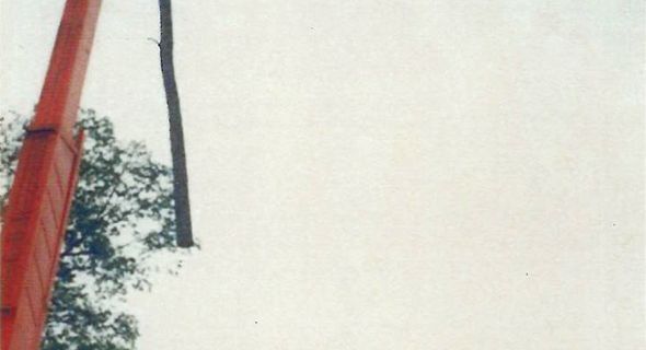 tree01.jpg