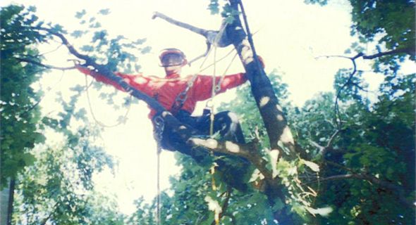 tree05.jpg