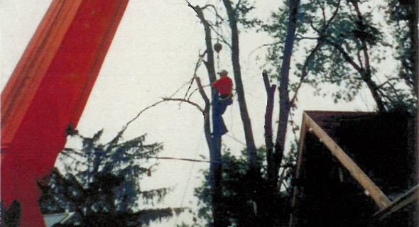 tree14.jpg